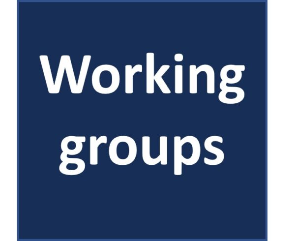 Working Groups