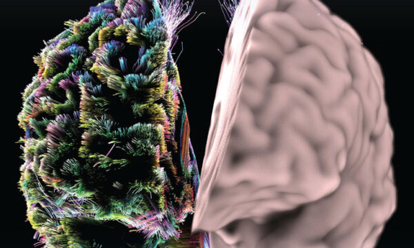 Genetic data harmonisation manuscript is out!